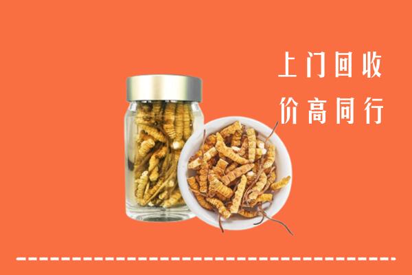 金乡县回收冬虫夏草